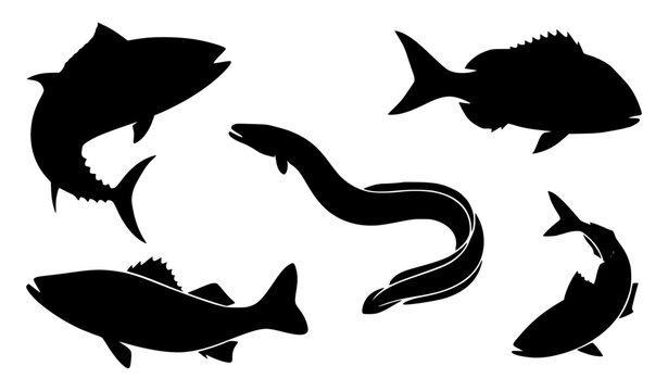 Japanese saltwater fish silhouette vector set with marine species collection in flat design style