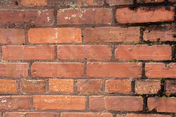 Fototapeta premium Aged Red Brick Wall with Mortar Lines Texture Closeup Abstract Background