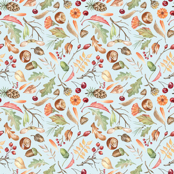Colorful and rich autumn botanical seamless pattern with blue background. Watercolor hand-drawn elements - leaves and berries, acorns and chestnuts, twigs, flowers, and pinecones. For fabric and paper