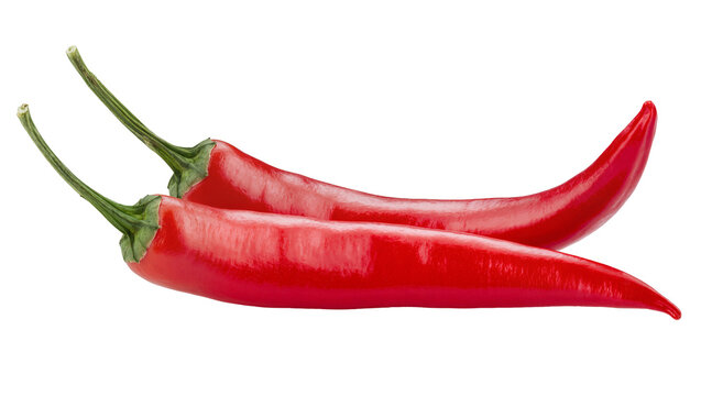 Isolated two fresh vibrant red hot chili peppers with green stems, an essential spicy food item