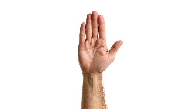 Isolated human hand with palm facing front, fingers open, signaling stop or asking question
