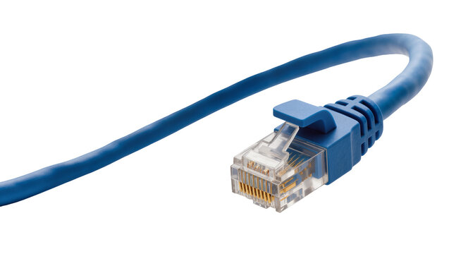 Isolated blue Ethernet cable with clear RJ45 connector, network patch cord for internet connection