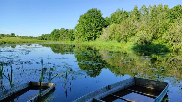 River and forest №8