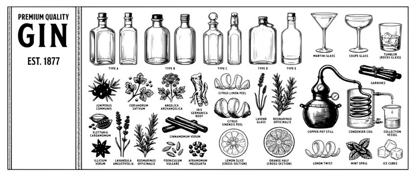 Engraved illustration set displaying various gin ingredients, bottles, and related tools for craft distillers