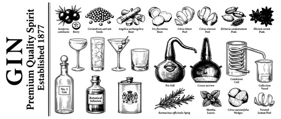 Obraz premium Engraved illustrations showcasing the art of gin production and its exquisite ingredients over time
