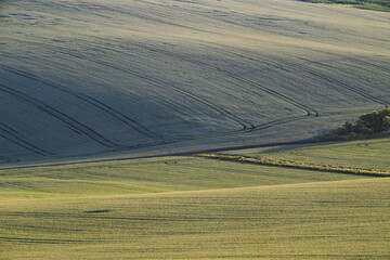 Obraz premium rolling green fields in early summer in Czech Moravia