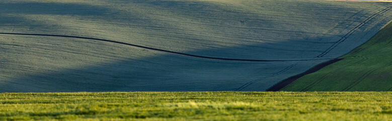 Obraz premium rolling green fields in early summer in Czech Moravia