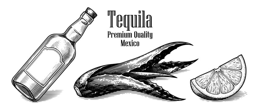 Craftsmanship of tequila featuring an engraved bottle, agave plant, and lime in a traditional Mexican setting