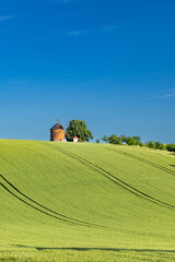 Obraz premium rolling green fields in early summer in Czech Moravia