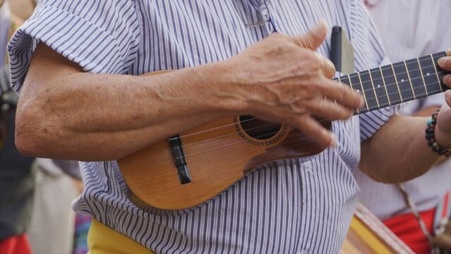 Folk musician focused on playing a traditional Canary Islands timple with experienced hands during a cultural romer&iacute;a celebrating island heritage and music