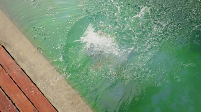 Slow motion footage captures a young boy jumping into a green swimming pool from a wooden deck. Water splashes dramatically as child dives underwater and resurfaces in the refreshing turquoise water.