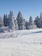 Obraz premium Winter Landscape of Vitosha Mountain, Bulgaria