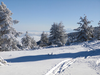Fototapeta premium Winter Landscape of Vitosha Mountain, Bulgaria