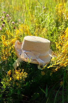 Beautiful still life with summer braided hat on floral meadow, sunny natural background. Summer season. rustic landscape with yellow wildflowers and hat. relax, harmony, meditation atmosphere
