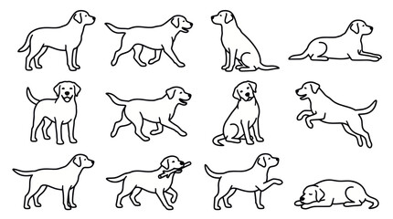 Collection of dogs in various poses. © ades