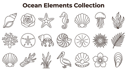 Ocean elements collection with various shells and marine. © GW