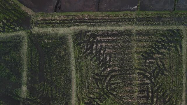Top down view of agricultural fields and irrigation patterns. Ideal for agricultural concepts