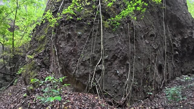 Ca&ntilde;&oacute;n del Remate