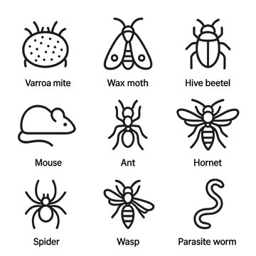 Wasp vector no icons cyrillic marks icon beehive characters mite pest punctuation