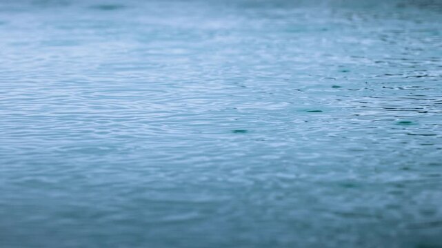 Rain falling on water creates gentle ripples and circular patterns on calm surface in slow motion. Raindrops splash and spread forming concentric waves in soft blue-gray tones during overcast weather.