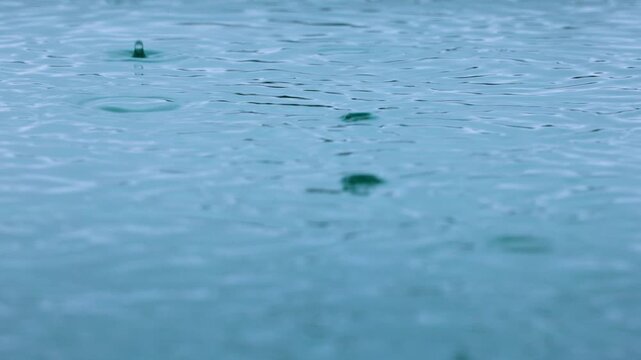 Rain falling on water creates circular ripples and splashing droplets in slow motion. Turquoise blue water surface captures gentle precipitation with expanding concentric rings and water texture.