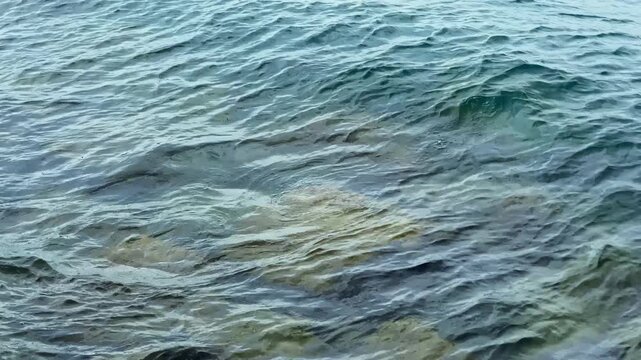 Waves move in patterns on the surface of the water near a beach. The scene shows a clear blue sky and sunlight hitting the water, creating reflections. There are no people or objects visible.