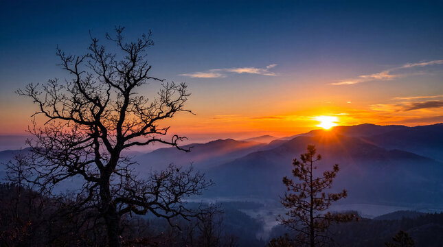 Beautiful sunset over misty mountain ranges with silhouetted leafless trees and golden light rays glowing through a hazy valley during twilight in nature.
