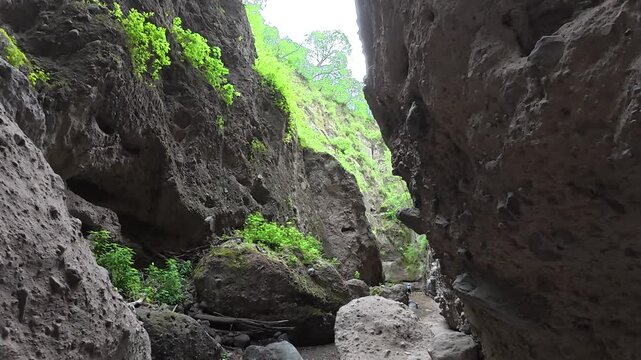 ca&ntilde;&oacute;n de zacualpan