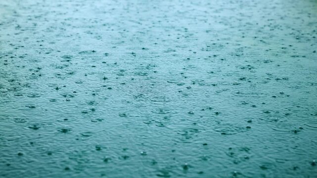 Rain falling on water creates circular ripples and splashes in slow motion. Raindrops hit calm surface forming concentric rings and small droplets bouncing upward. Teal blue tones add moody.