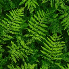 Green Fern Pattern Overhead Flat Lay Natural Texture © chonlawit