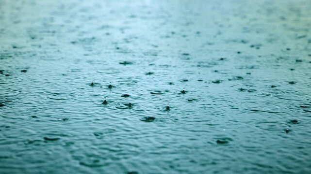 Rain falling on water creates mesmerizing ripples and splashes in slow motion. Teal-toned water surface captures raindrops bouncing and forming concentric circles in a calming natural pattern.