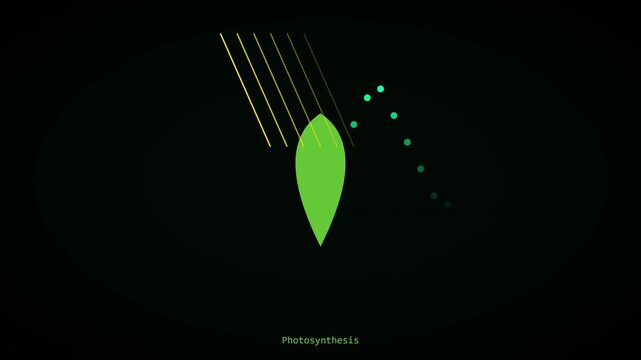 Photosynthesis process animation: scientific leaf energy conversion motion biology science education