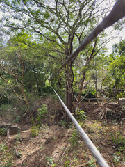 Fototapeta premium Cable stretches between trees in wooded area during daytime