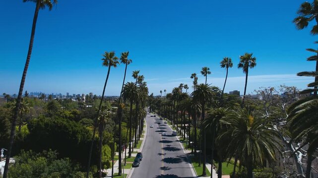Aerial view of a scenic street lined with iconic tall palm trees in Los Angeles, California, featuring light traffic on a bright sunny day with a clear blue sky over the suburban landscape