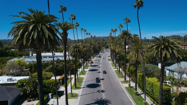 Aerial panoramic view of a scenic street lined with iconic tall palm trees in a sunny Beverly Hills neighborhood, featuring luxury homes and cars driving on the road under a clear blue sky