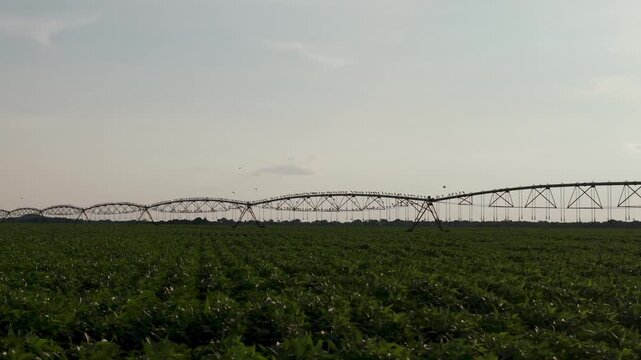 Wide-angle view of a modern industrial irrigation system spanning across a lush green agricultural field under a clear sky, illustrating advanced farming techniques and water management