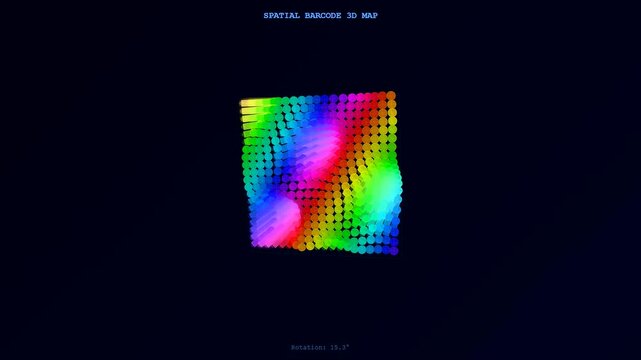 A vibrant spatial transcriptomics visualization presents evolving data patterns, animating graceful three dimensional rotation across a dark digital background for molecular research.