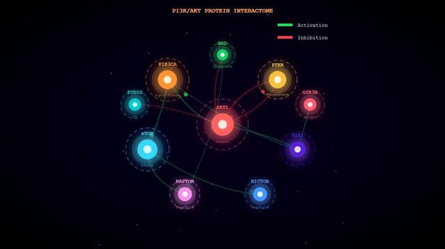 This detailed spatial transcriptomics visualization illustrates the dynamic PI3K AKT protein interactome through a vibrant network of glowing nodes and colored interaction pathways.