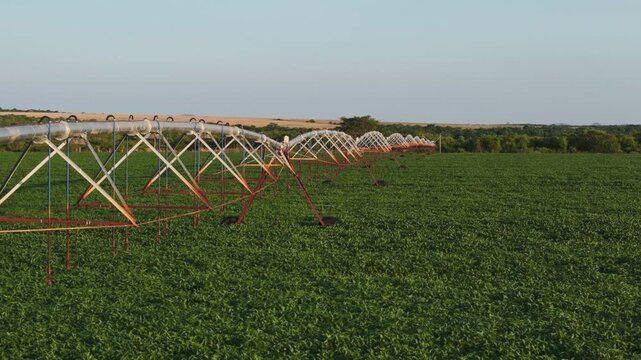 Large center pivot irrigation system stretching across a lush green soybean field in a rural agricultural landscape under a clear sky during the day, showcasing modern farming technology