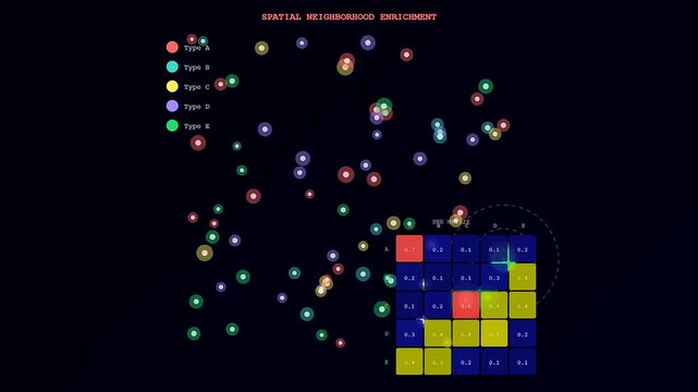 Dynamic spatial transcriptomics visualization illustrating complex cellular interactions and neighborhood enrichment analysis across various cell types within a biological system on a dark background.
