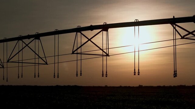 Silhouette of a center pivot irrigation system spanning across a vast agricultural field during a golden sunset, highlighting modern farming technology and water management in rural landscapes