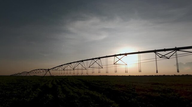 Silhouette of a large center pivot irrigation system stretching across a vast agricultural field under a bright setting sun during the golden hour in a rural farming landscape