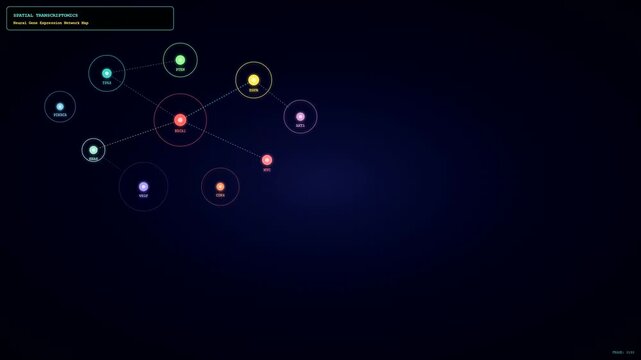 This futuristic spatial transcriptomics visualization shows a complex neural gene expression network map evolving with glowing colorful nodes that slowly connect across a dark background.