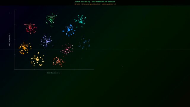 Advanced spatial transcriptomics visualization shows dynamic cell clusters forming and being labeled during a complex genomic data analysis sequence in a dark digital interface.