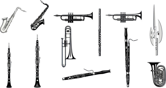 Various musical instruments are displayed on a white background for illustration purposes.
