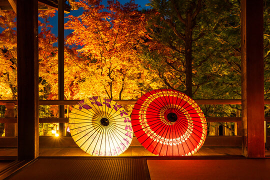 日本の風景・秋　京都　勝林寺　紅葉と和傘のライトアップ