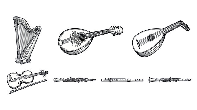 Collection of classical string and woodwind musical instruments