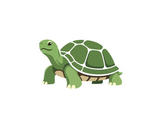 Fototapeta premium Green turtle illustration on white background, perfect for educational purposes and design.