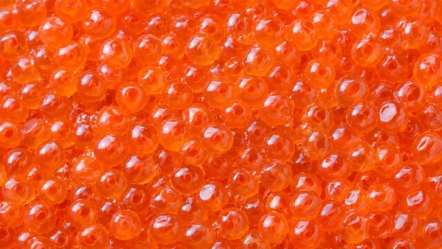 Glossy ikura salmon roe close-up