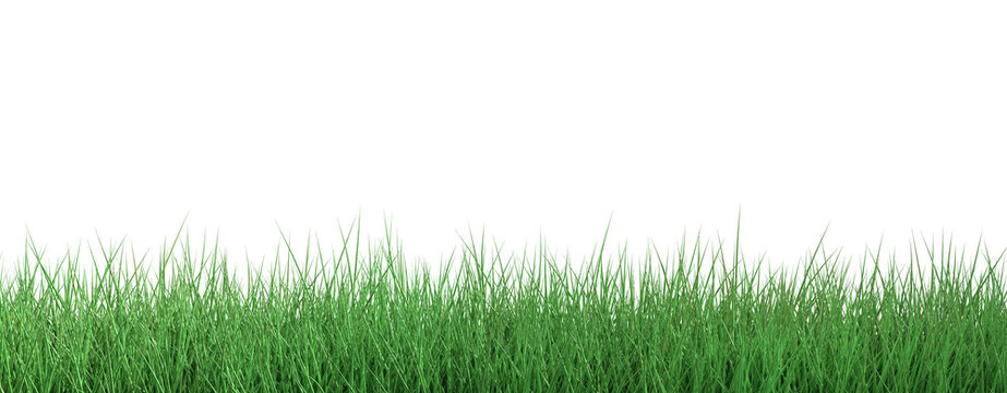 Green grass border isolated on transparent background, PNG, Texture